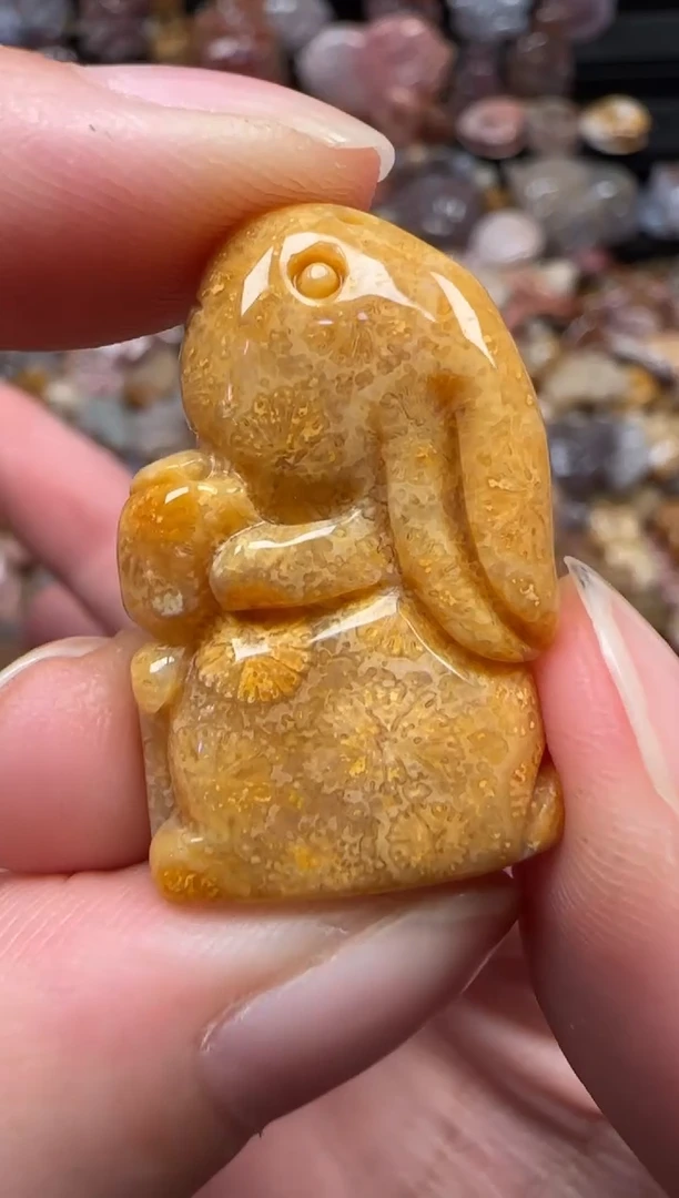 颈饰未镶嵌硅化珊瑚（珊瑚玉）206