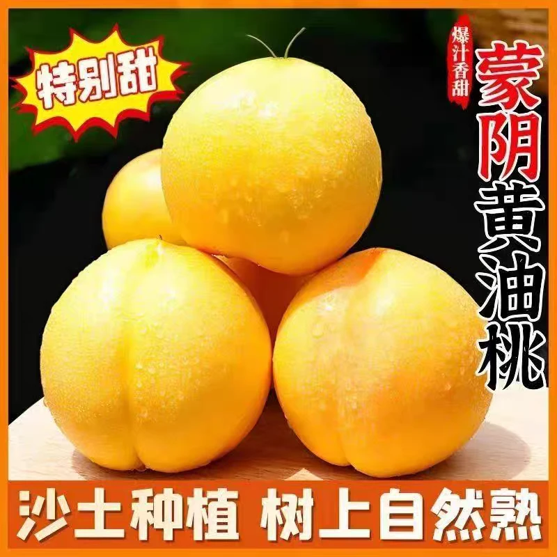 【应季鲜桃】山东蒙阴头茬黄金油桃新鲜蜜桃表皮无毛对版现摘现发