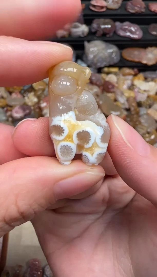 颈饰未镶嵌硅化珊瑚（珊瑚玉）339