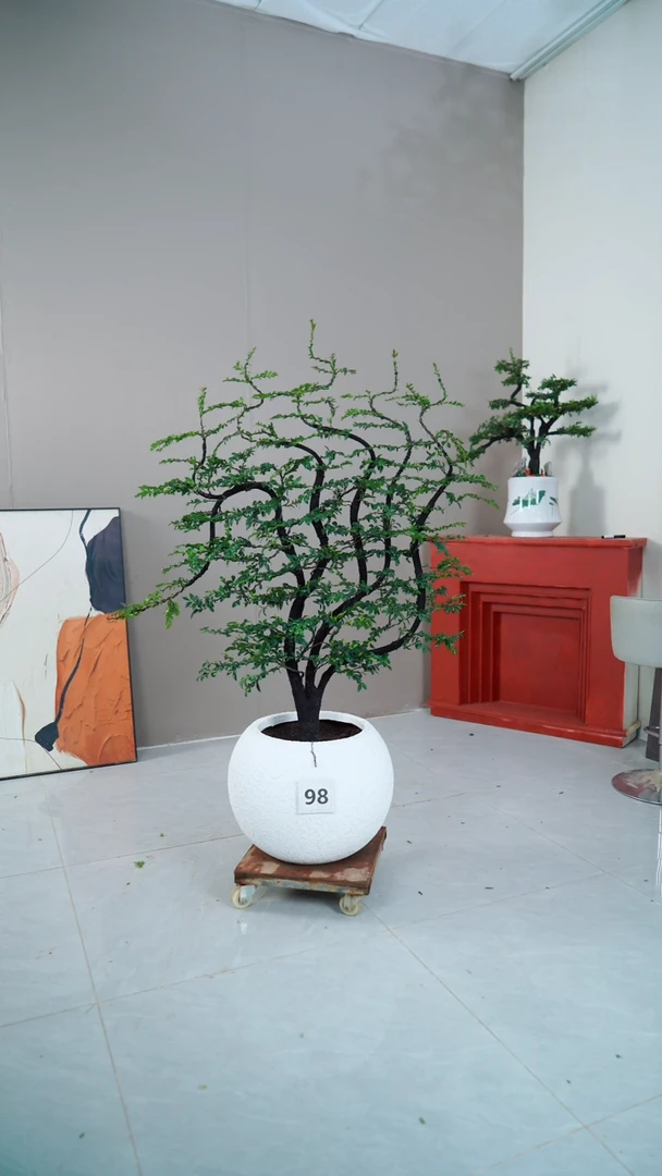 【闪购商品】98号链接
