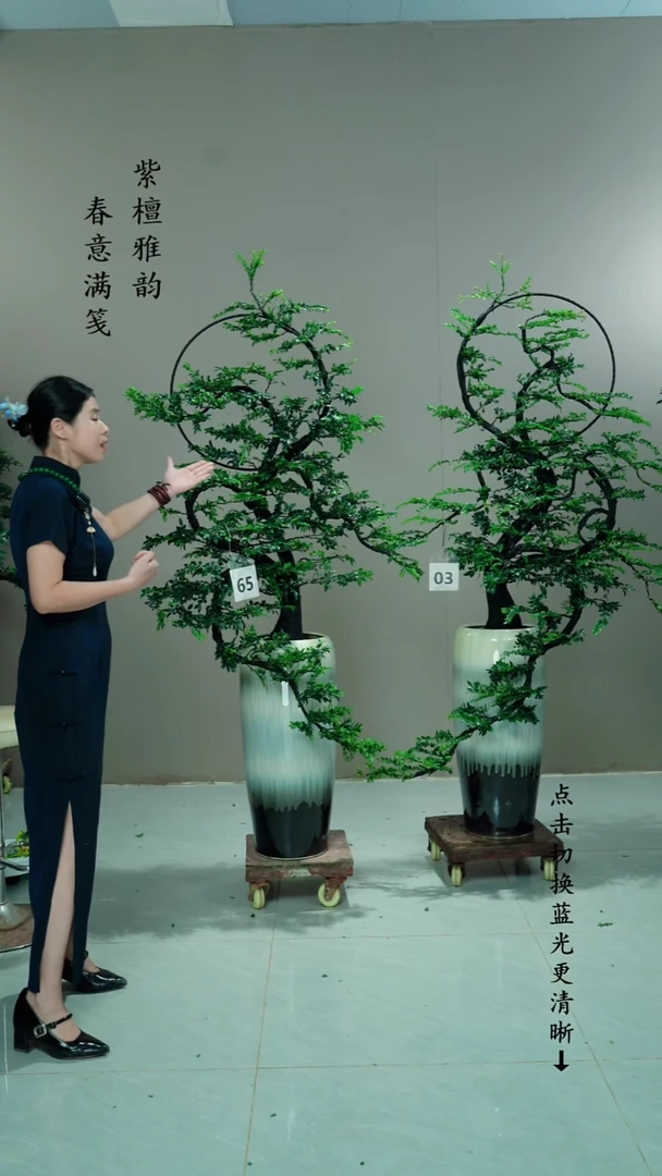 无花朵关***汉65号+03号一对链接
