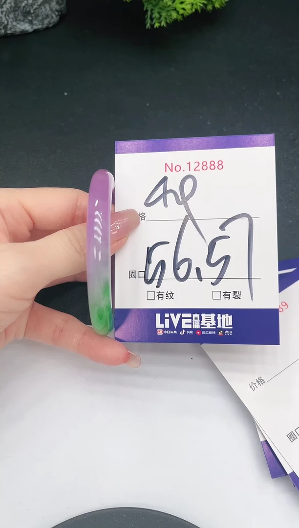 未镶嵌手镯翡翠12888