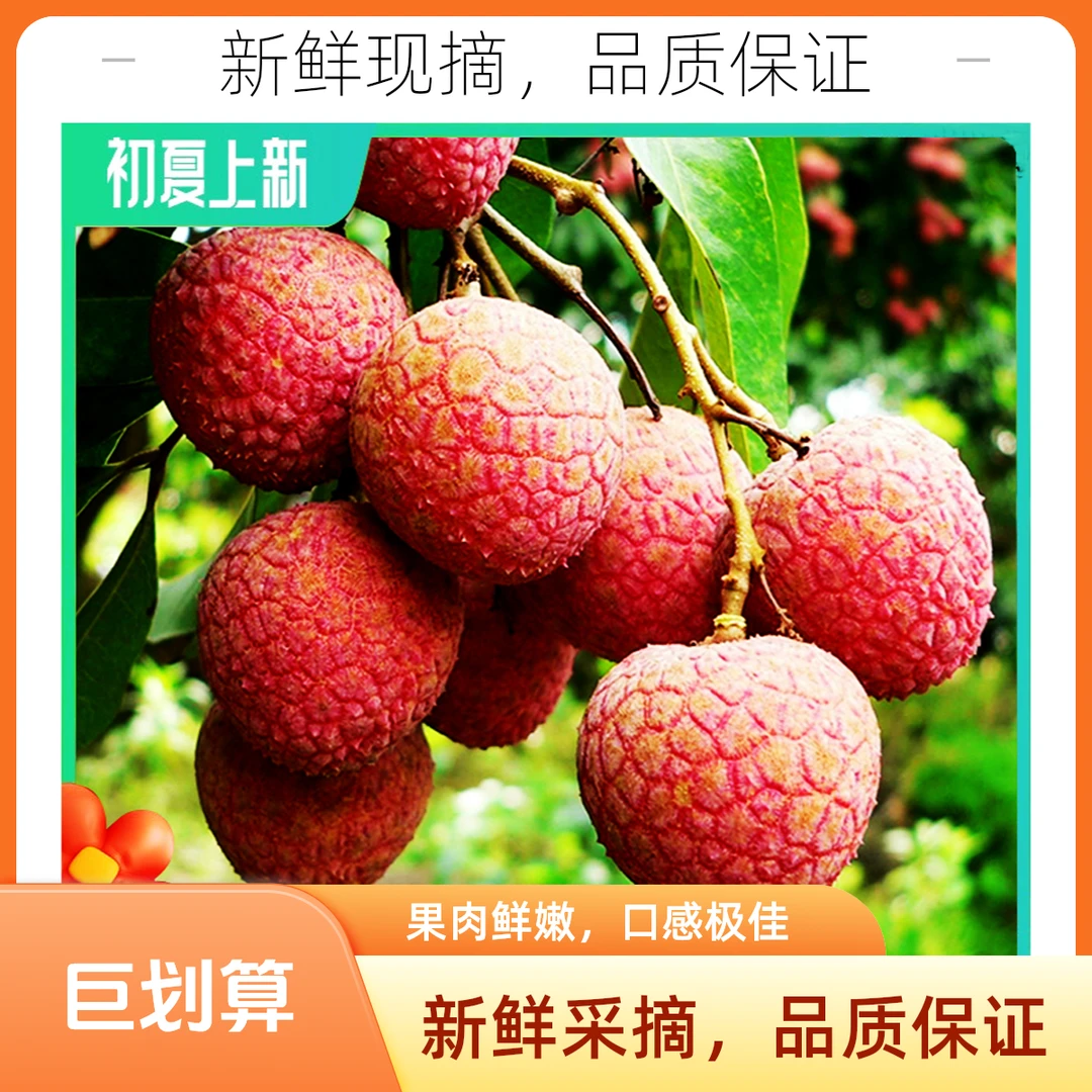 荔枝新鲜现摘今天买明天到福建老树黑叶乌叶荔枝当季孕妇水果1-5斤荔枝同城送福建省