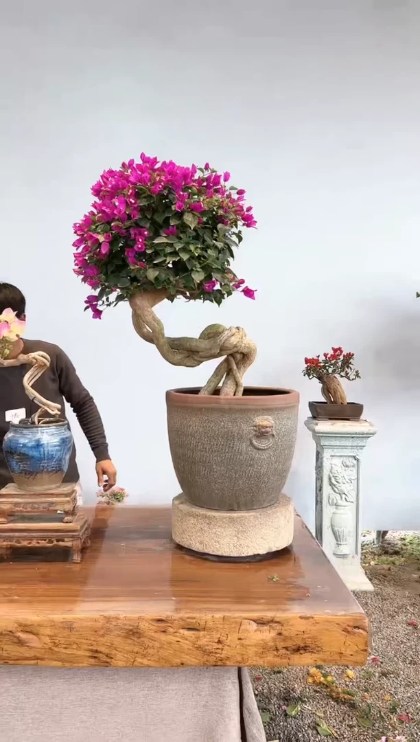 【闪购商品】aa911