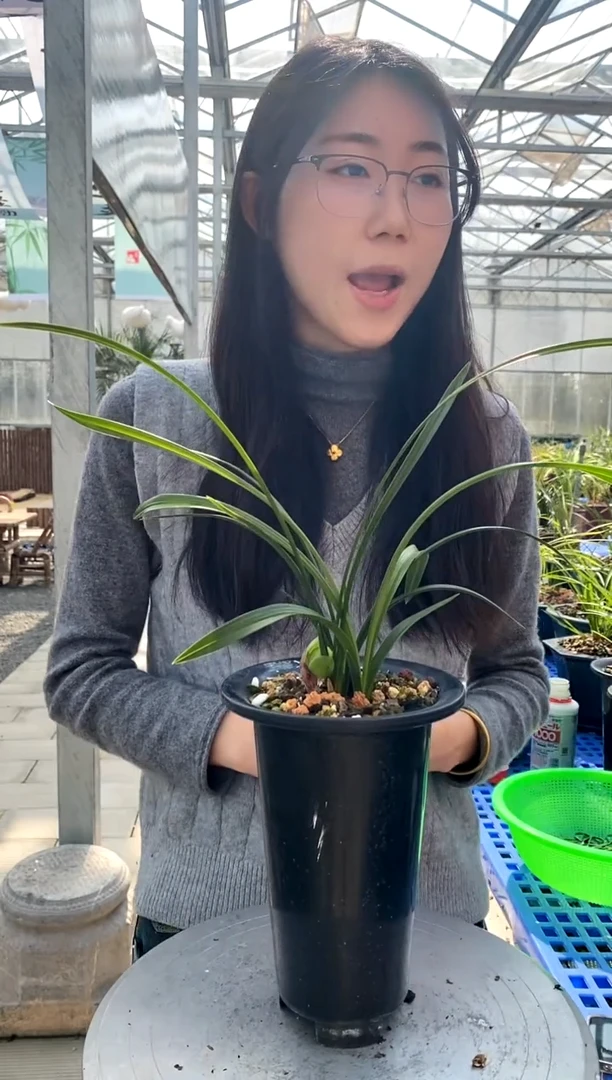 【闪购商品】大富贵YI_City