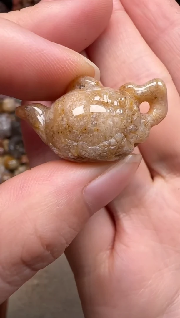 硅化珊瑚（珊瑚玉）未镶嵌颈饰622