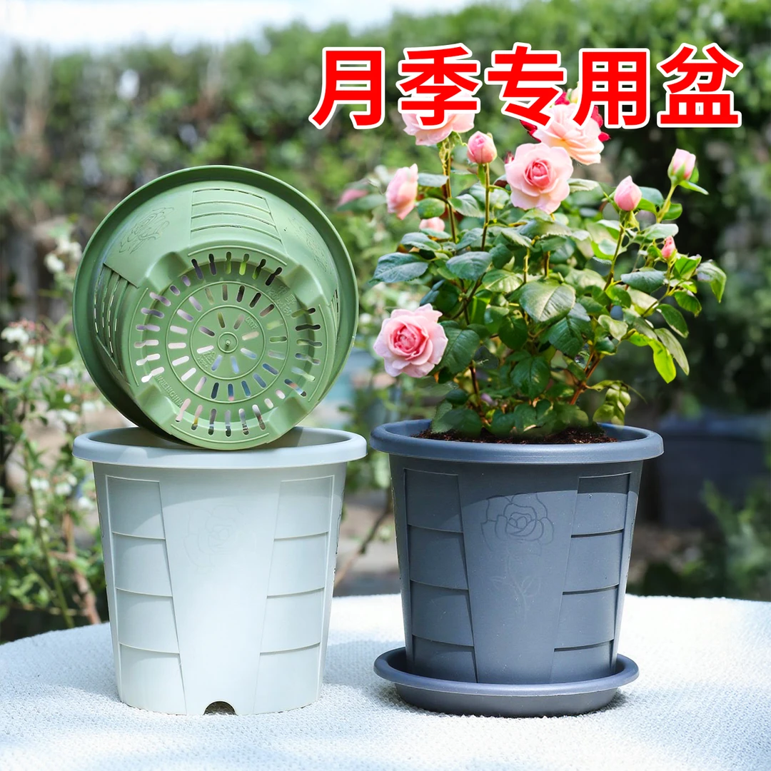 月季盆栽专用盆月季专用盆透气加厚花盆种植立体第三代青山控根盆
