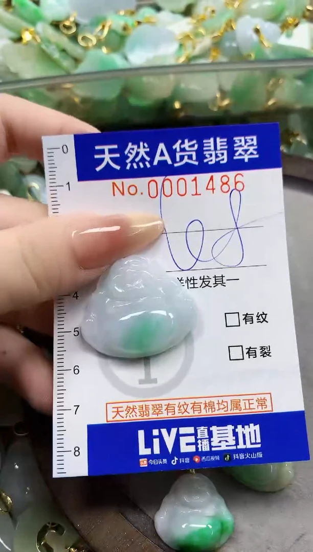 颈饰未镶嵌翡翠天然A货翡翠