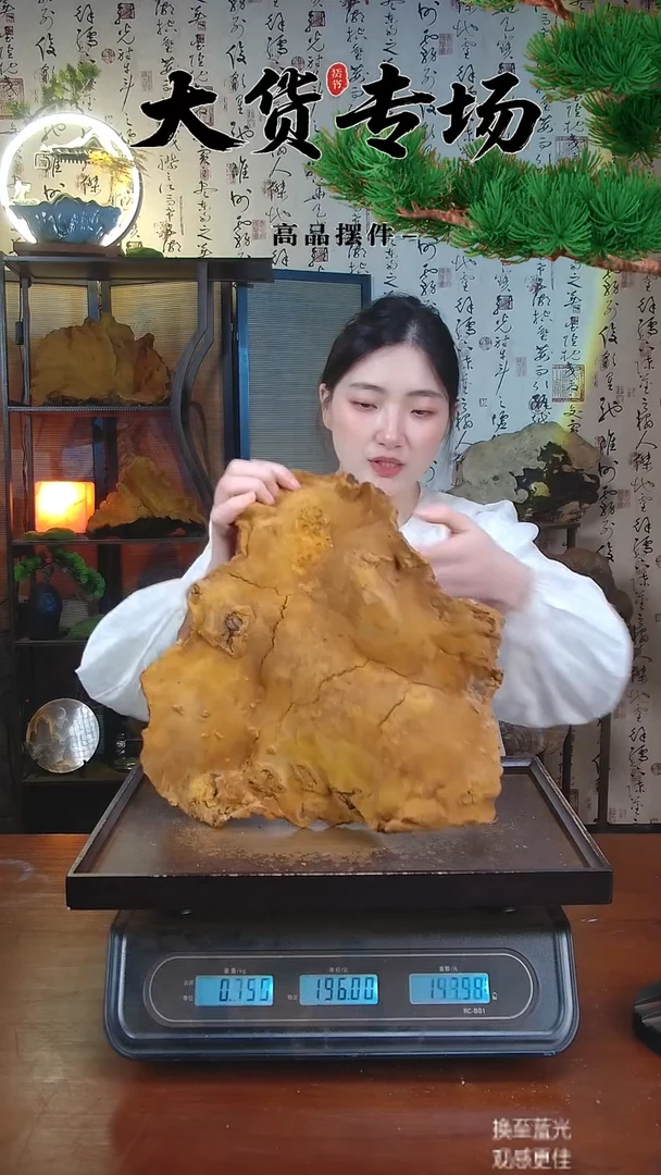 松针层孔菌中国大陆【藏区 野生】松树桑黄（2.8斤）40-50年份