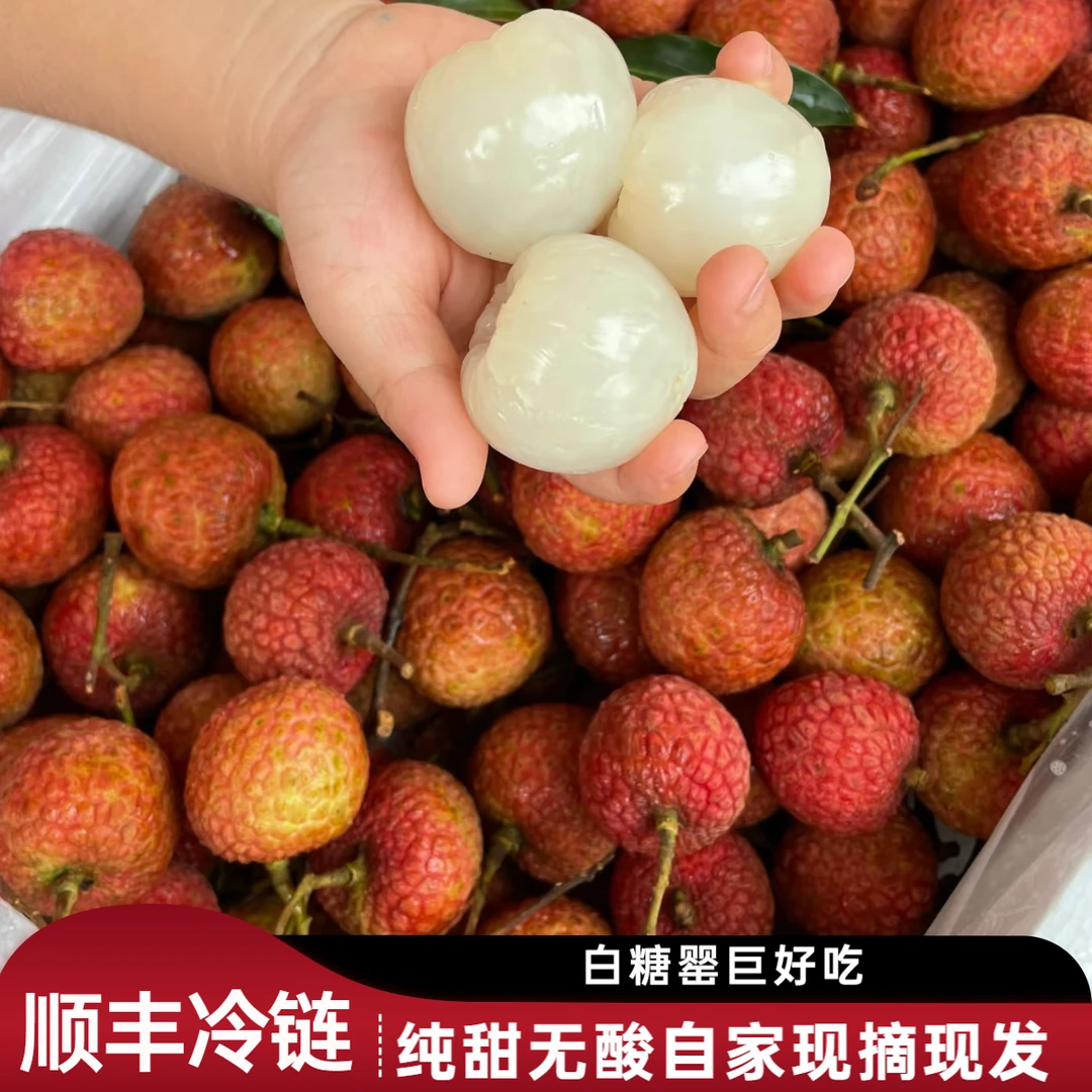 【顺丰冷链3】到手5斤白糖罂现货老树新鲜生鲜冷链鲜果荔枝