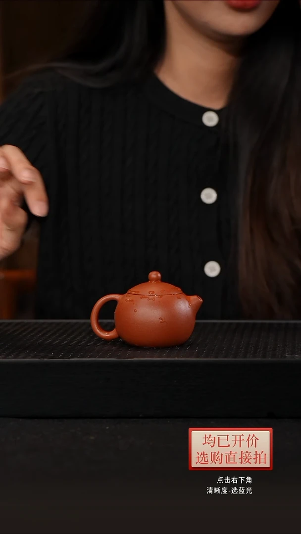 老林紫砂老朱泥西施105cc