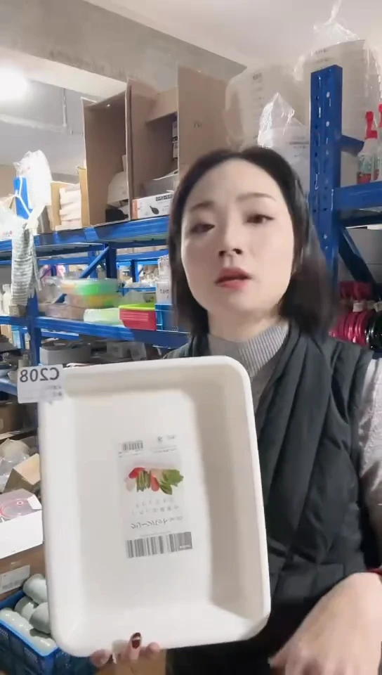 【闪购商品】瓷片进口家用百货配菜盘两只C208 白色