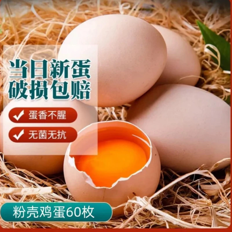 A顺丰/京东【买40枚赠20土鸡蛋】土鸡蛋现捡现发破损包赔60枚/2400g
