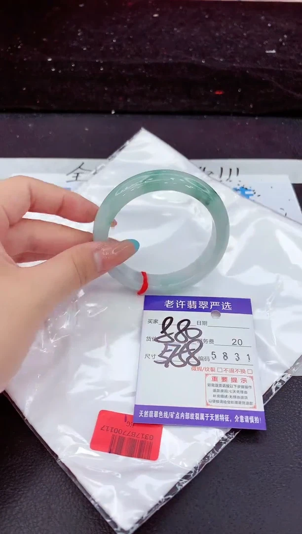 未镶嵌手镯翡翠1