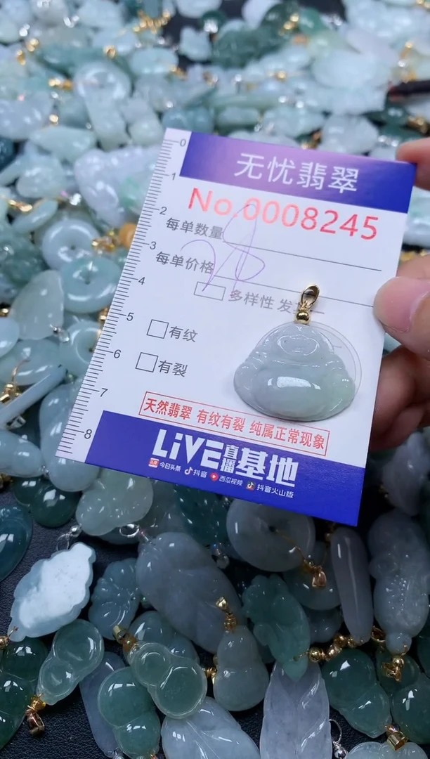 颈饰未镶嵌翡翠8245