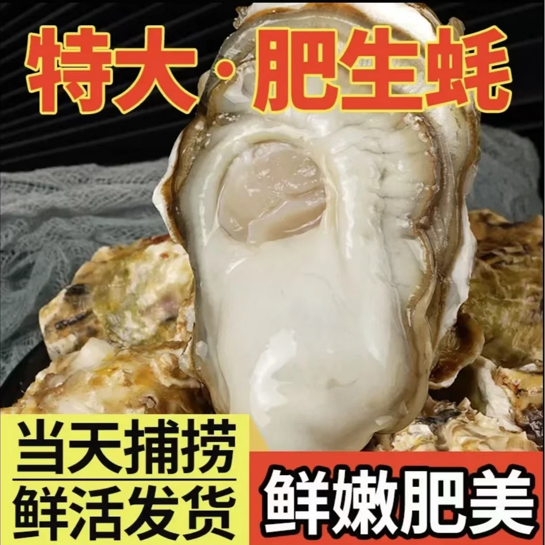 2025年【到手10斤正宗刺身級乳山生蚝】6-8两冷水帝王蚝 买5斤送5斤共10斤鲜活海鲜