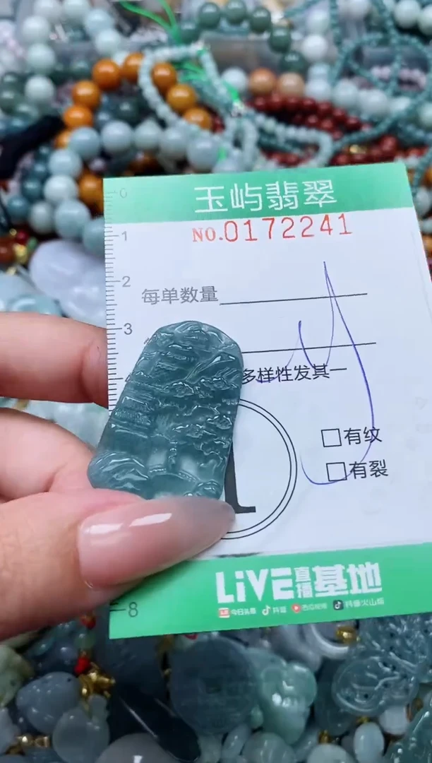 翡翠未镶嵌颈饰闪购0172241