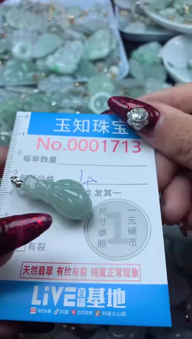 颈饰未镶嵌翡翠1713