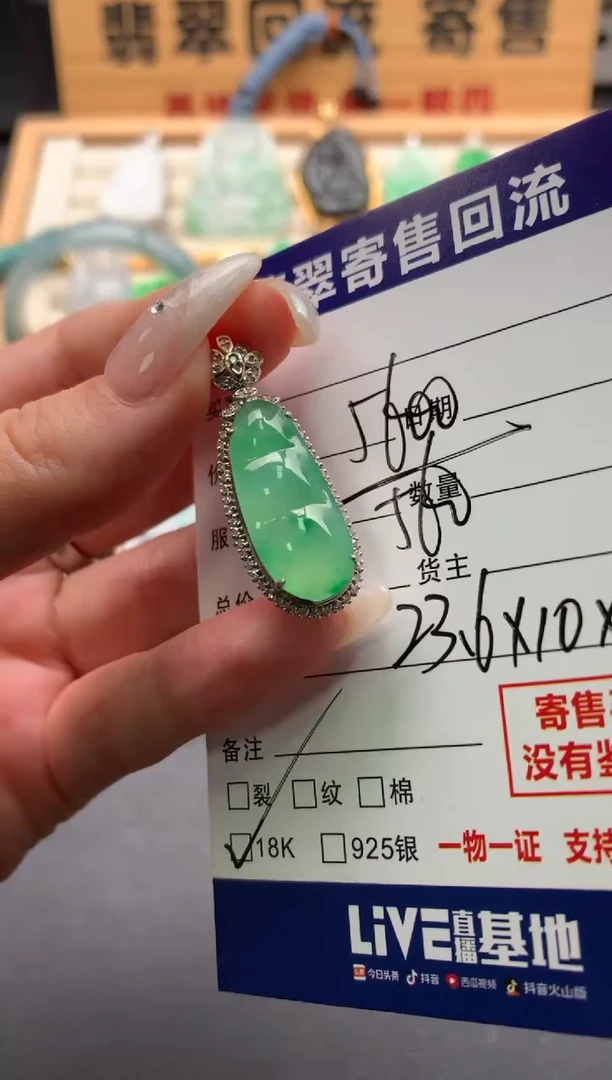 翡翠18K金镶嵌颈饰10137894