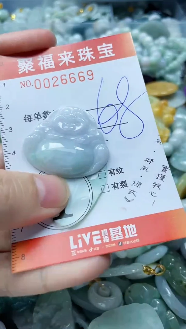 【闪购商品】翡翠颈饰未镶嵌闪购0026669