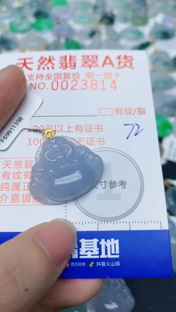 【闪购商品】翡翠颈饰18K金镶嵌天然翡翠A货    72