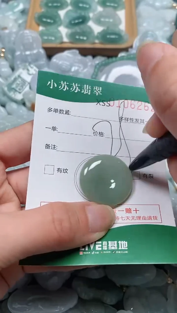 【闪购商品】翡翠颈饰未镶嵌闪购商品0106262
