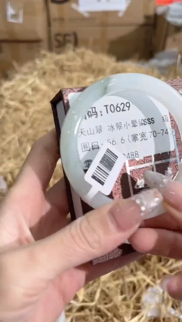 未镶嵌手镯石英质玉T0629