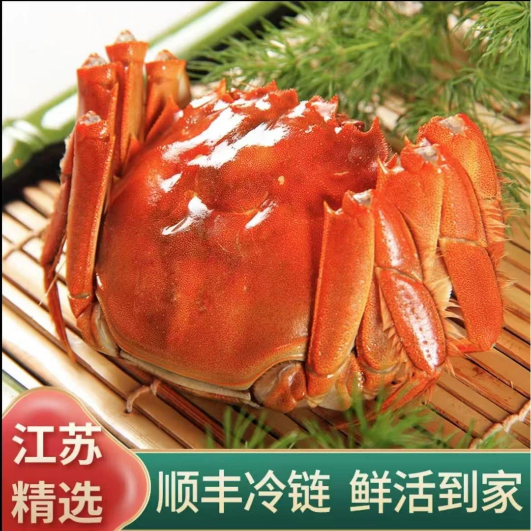 【活蟹】1.5两/只精品公蟹10只送2只 鲜活发货顺丰包邮