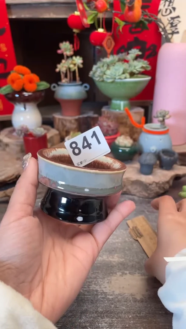 【闪购商品】摆件841知木小芳花盆