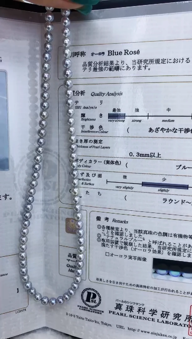 未镶嵌海水珍珠DA 灰珠串链带真科研ROSE大证5-5.5MM GD010