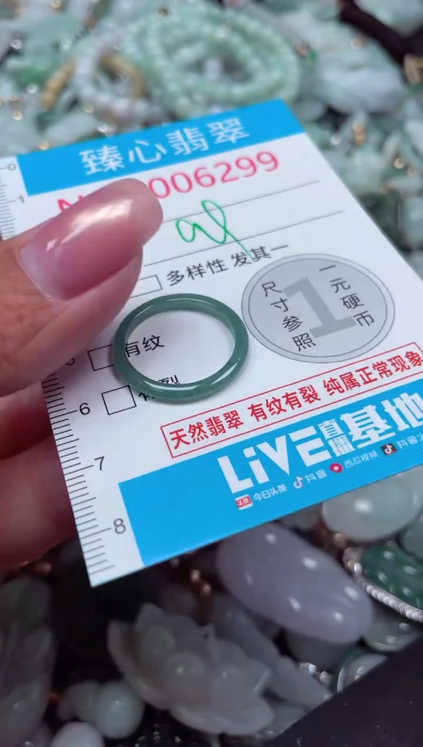 颈饰未镶嵌翡翠6299