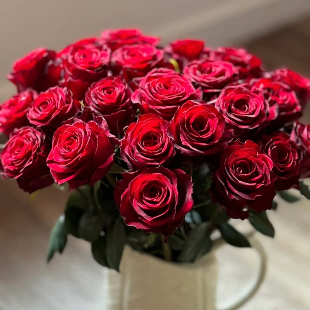 【高原红】单头玫瑰 全店两单顺丰冷链包邮家居鲜花养护