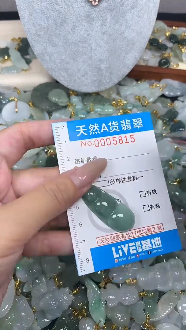 翡翠未镶嵌颈饰净货挂件-5815