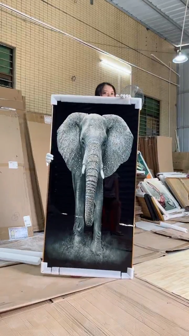 竖款70*140大象玄关带钻