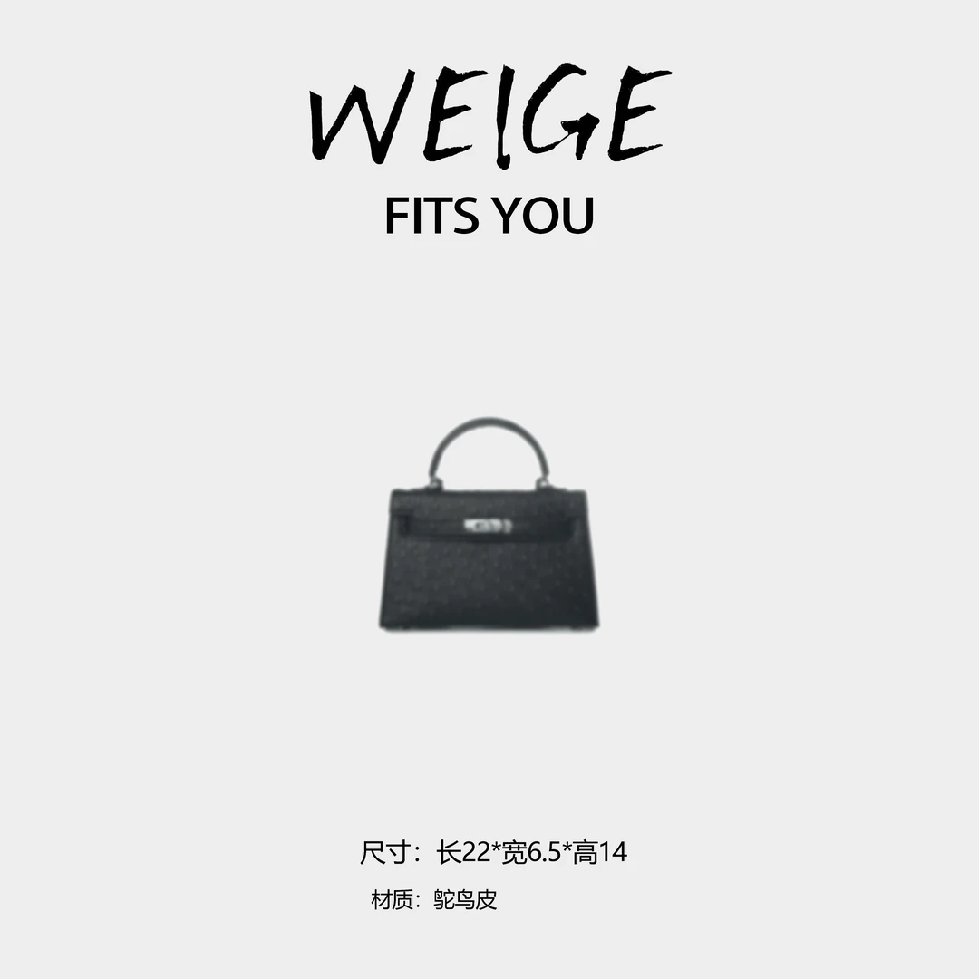【高定系列】2025新款轻奢简约手提单肩斜跨包 BV8322-鸵鸟黑