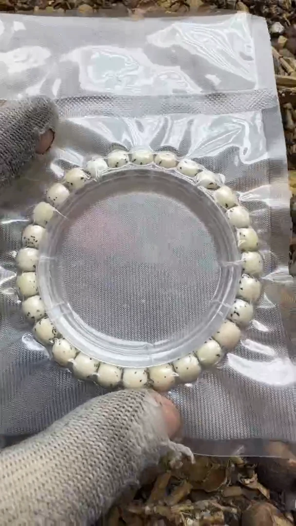 【闪购商品】星月菩提吊坠8*7  骨瓷白河豚  单圈