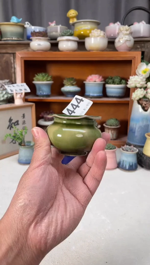 瓷片444小芳直播编号
