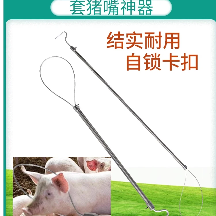 猪用保定器 抓猪器 套猪 牵引 抓猪器