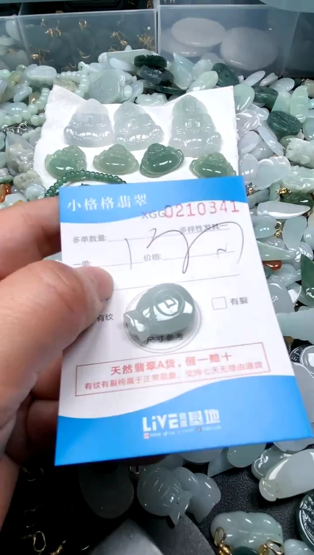 【闪购商品】翡翠颈饰未镶嵌闪购商品0210341