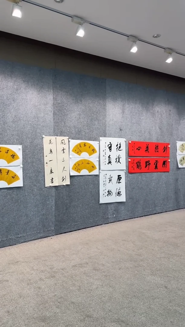 【闪购商品】国画pmw不二轩旗舰店书法ZYB1