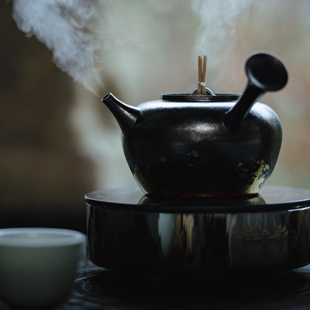 博友制钛听泉陶瓷煮水侧把壶纯钛黑金煮茶壶家用轻便携户外野露营