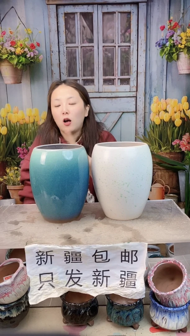 033 白蓝蛋形两个装 口14高20