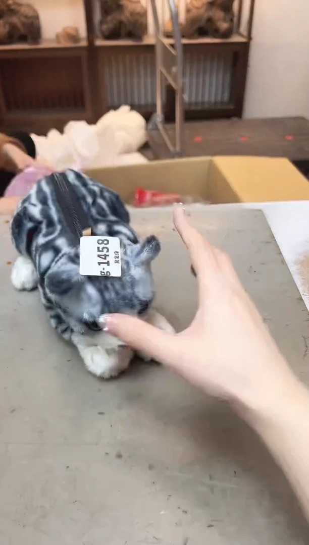 瓷片1458聚宝缘优品精选
