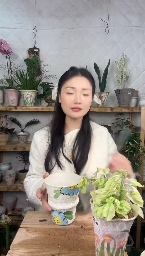 无花朵编号  945 景德镇手绘花盆
