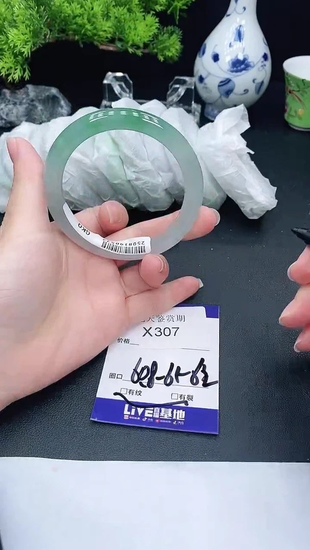 未镶嵌手镯翡翠307