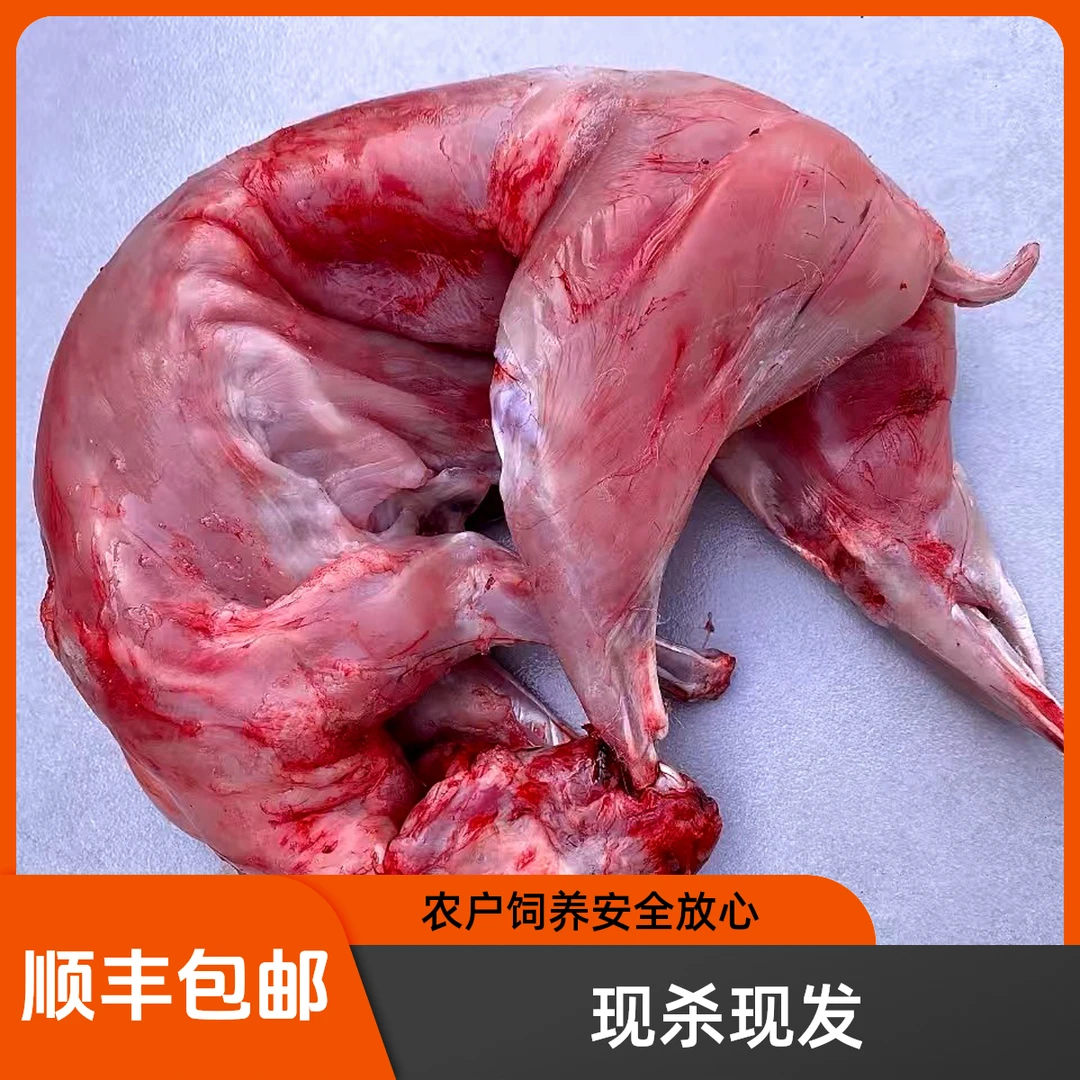 3斤农家散养鲜兔肉现杀鲜兔肉顺丰包邮兔子红肉