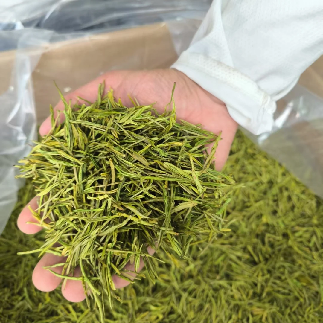 【爆款奶白】2025年新茶白茶系列黄金芽高性价比