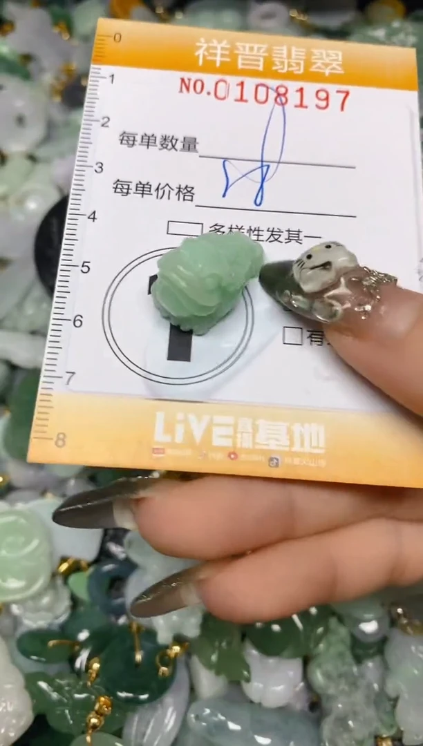 【闪购商品】翡翠颈饰未镶嵌闪购0108197