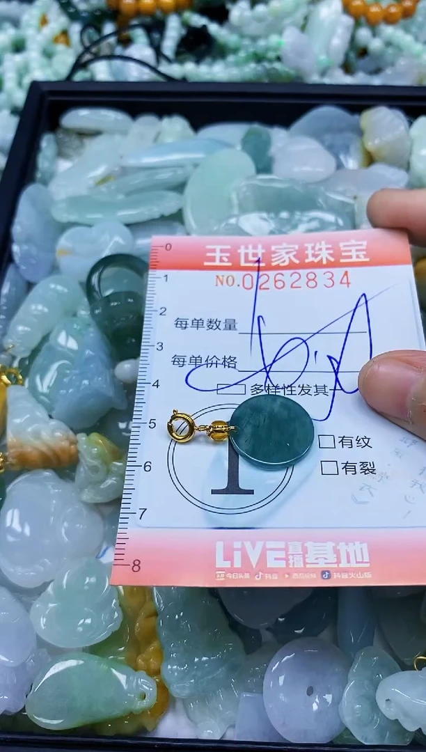 翡翠未镶嵌颈饰闪购0262834多样性发其一