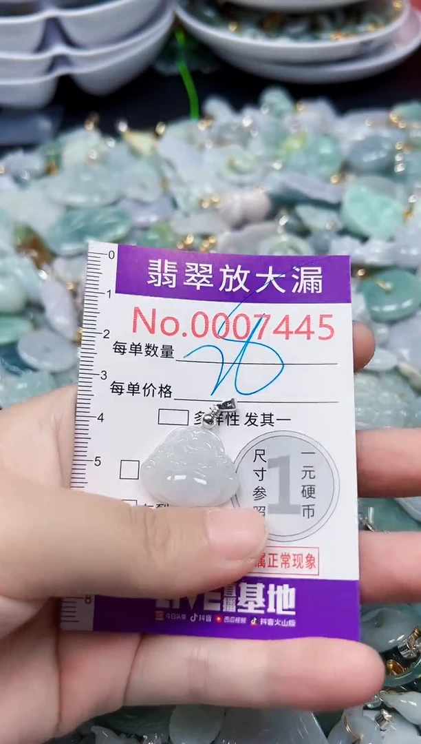 颈饰未镶嵌翡翠7445